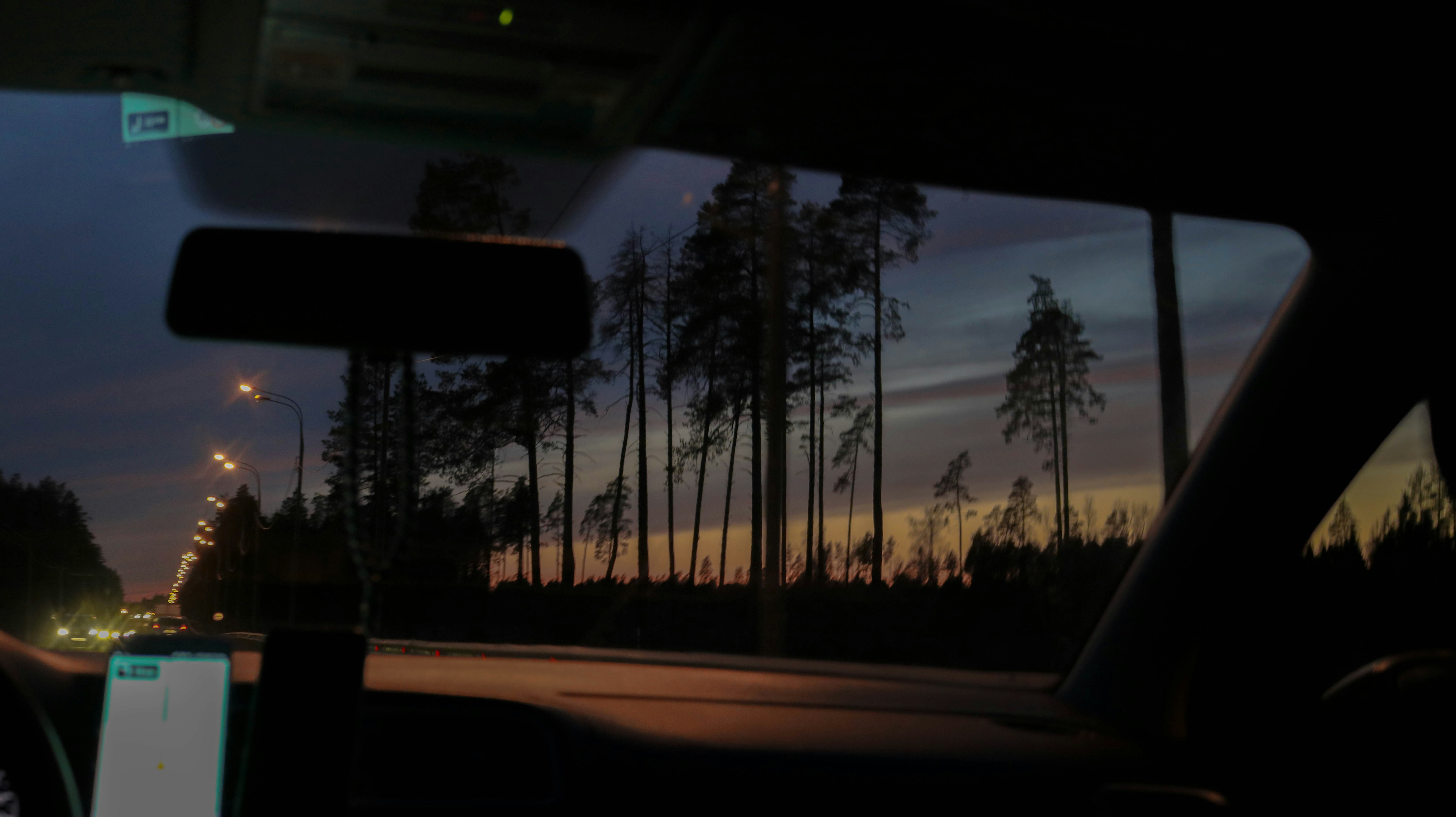 silhouette of trees during sunset